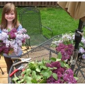 making lilac vases