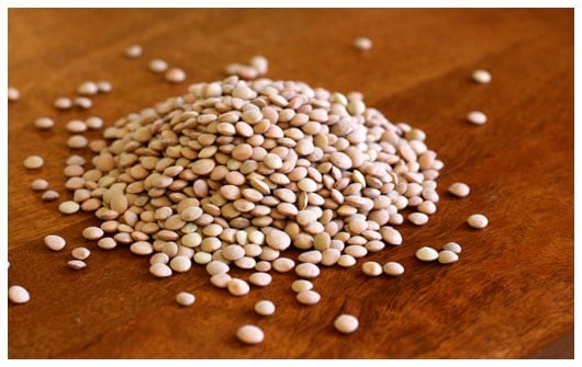 530_IMG_6838_lentils