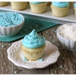 530_IMG_7555_i am baby cakes
