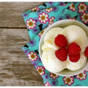 530_IMG_8010_lemon buttermilk sherbet