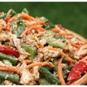 530_IMG_8790_Chinese Chicken Salad