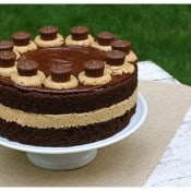 530_IMG_9053_3_chocolate peanut butter cake