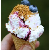 530_IMG_0257_blueberry cheesecake ice cream with graham cracker sprinkle