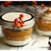 530_X_IMG_1534_pumpkin pie in a jar