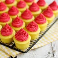 Lemon Baby Cakes with Fresh Raspberry Buttercream