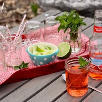 Watermelon Mintini and Seagrams Escapes