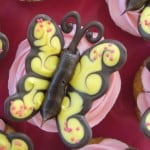 yellow chocolate butterfly