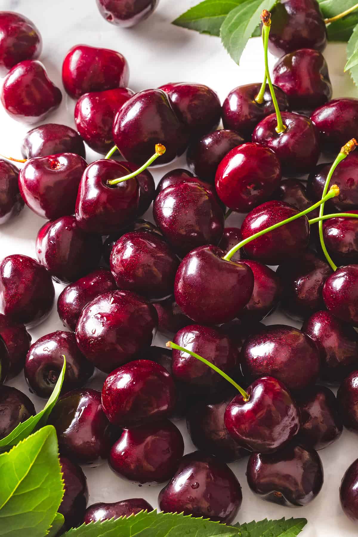 A pile of fresh sweet cherries