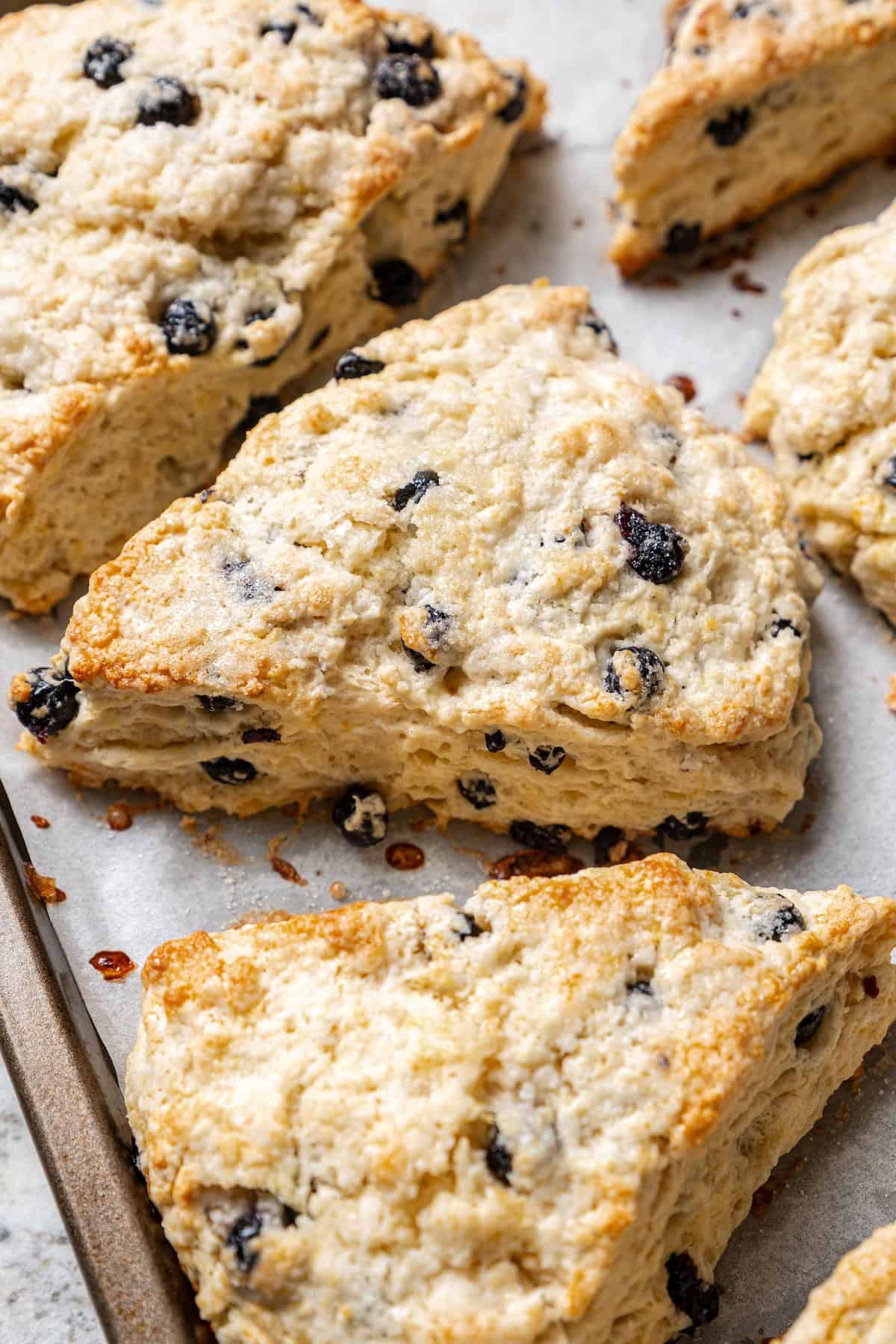 Rich, flaky and dotted with chewy dried blueberries, these blueberry scones are a bakery-style treat you can easily make at home! Closeup of blueberry scones on baking sheet