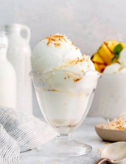 Coconut ice cream in glass dish with toasted coconut on top