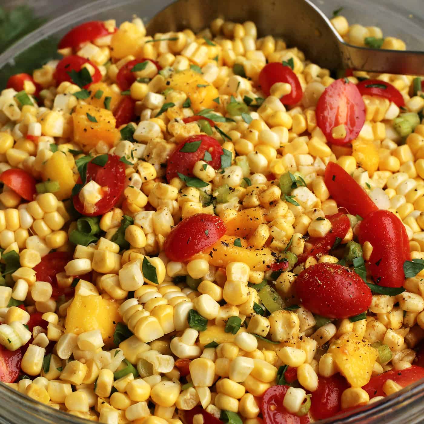 Close-up of tomato and sweet corn salad