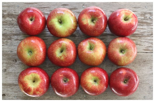 fresh picked apples