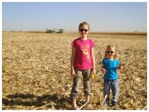 watching the corn harvest