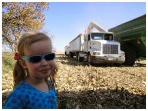 watching the harvest