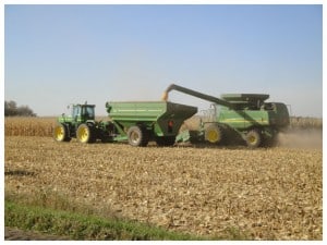 combining corn