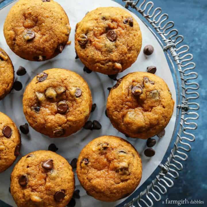 Pumpkin Chocolate Chip Muffins