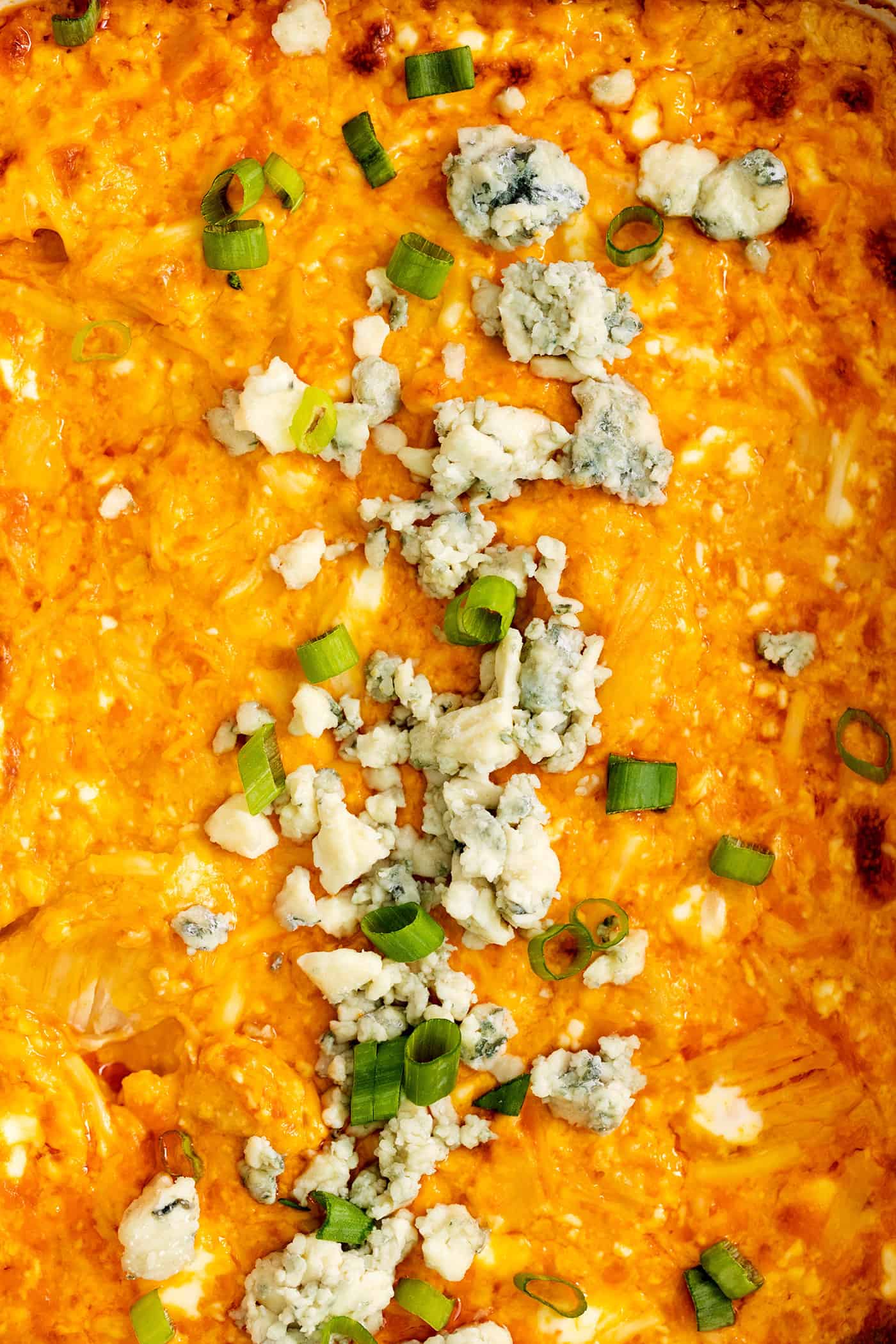 Close-up of buffalo chicken dip topped with blue cheese crumbles