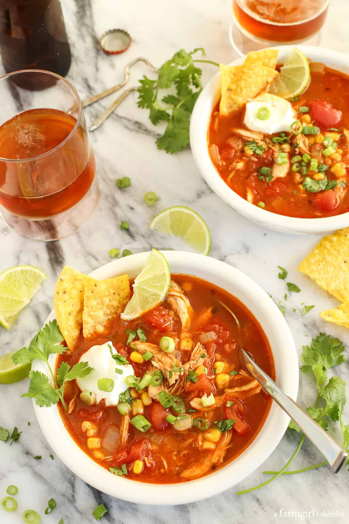Meghan's Chicken Tortilla Soup | a farmgirl's dabbles