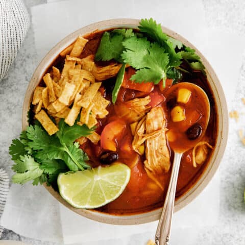 Overhead view of a bowl of chicken tortilla soup