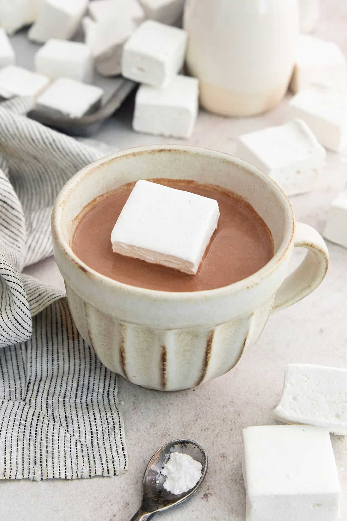 Homemade marshmallow in mug of hot chocolate