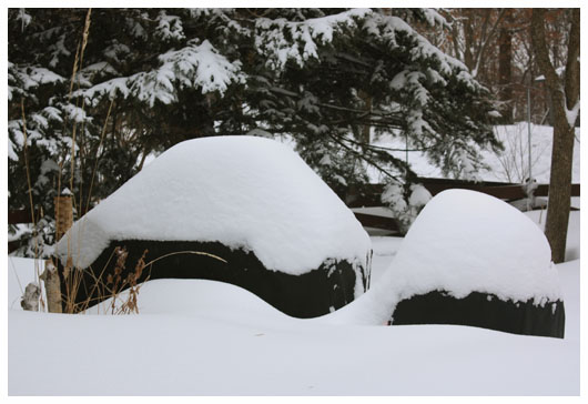 two grills covered in snow