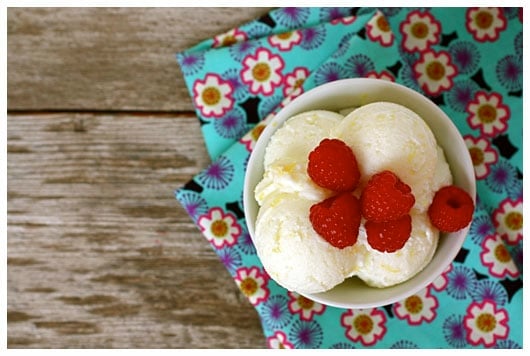 Overhead Image of Lemon Buttermilk Sherbet