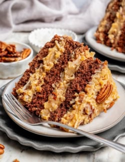 Slice of classic German chocolate cake on plate with fork