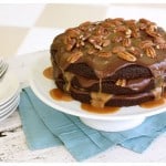 a turtle chocolate layer cake on a white cake stand