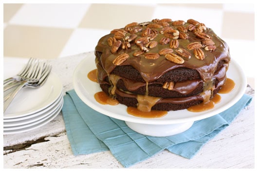 a turtle chocolate layer cake on a white cake stand