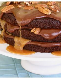 caramel, chocolate, and pecan cake