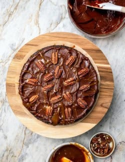 Overhead view of turtle cake on cake stand.