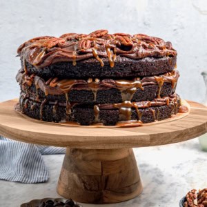 Whole turtle cake on cake stand.