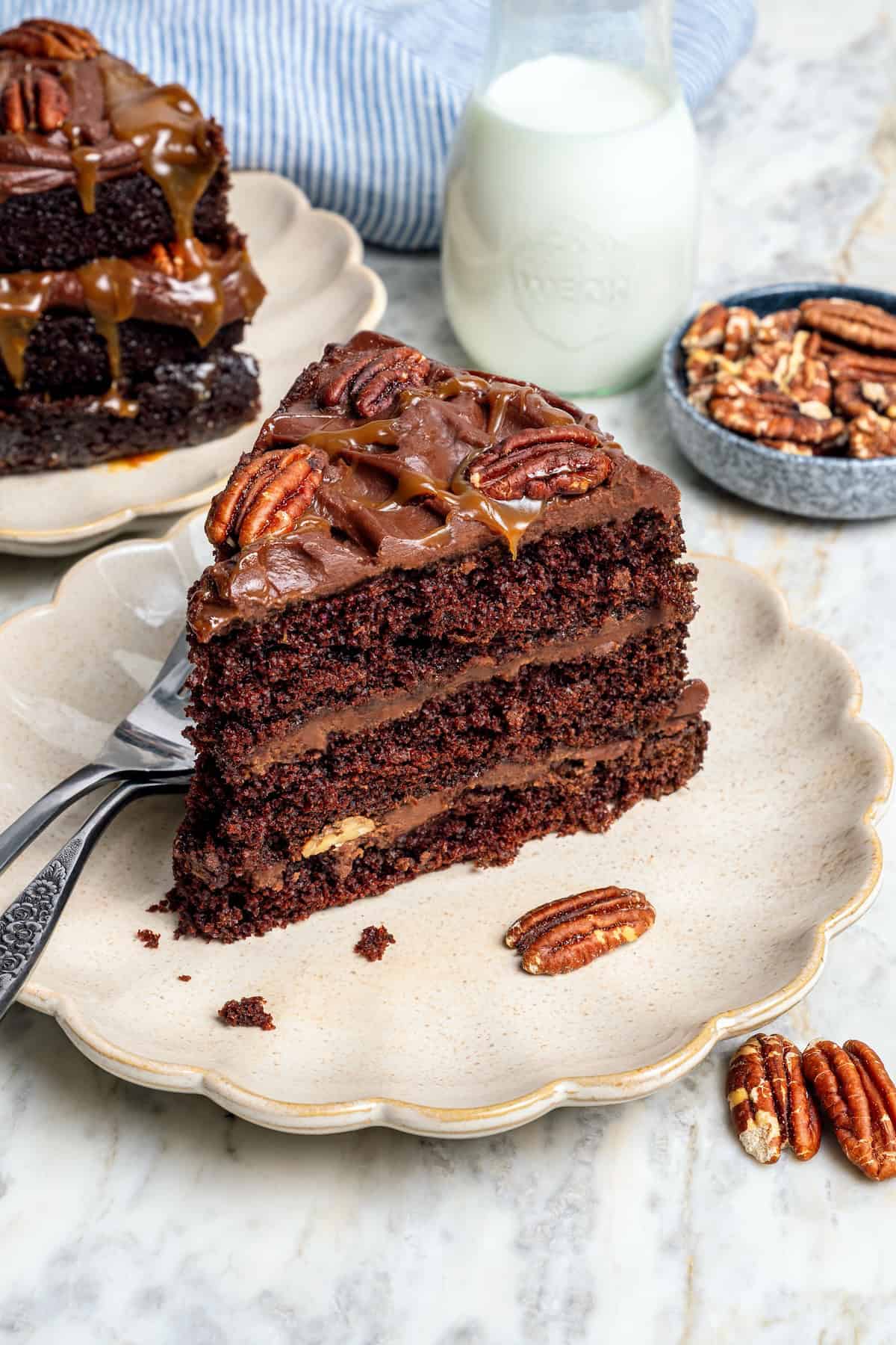 Slice of turtle cake on plate.