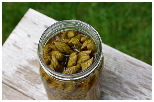 Pickled Asparagus on a wood table