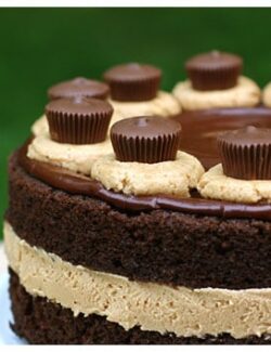 Chocolate cake with peanut butter filling topped with chocolate ganache and peanut butter cups
