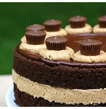 Chocolate cake with peanut butter filling topped with chocolate ganache and peanut butter cups