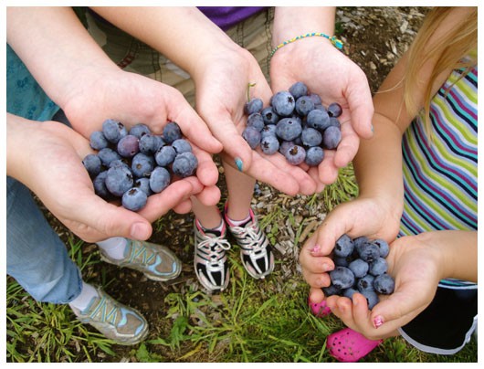 handfuls of blueberries