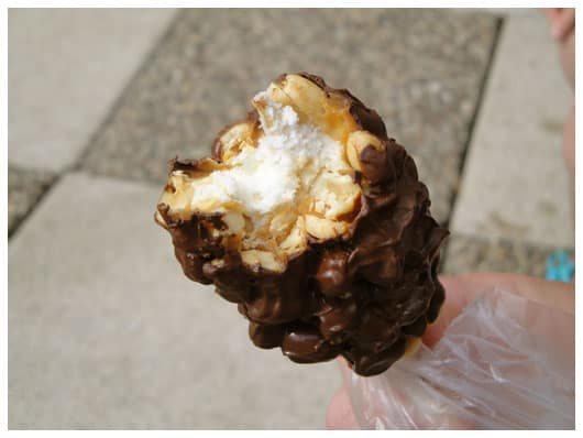 Inside of a Salted Nut Roll at the Minnesota State Fair
