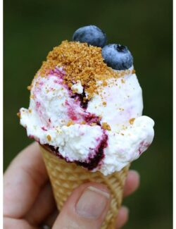 This blueberry ice cream is smooth, creamy, and topped with a graham cracker sprinkle.