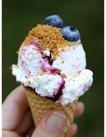 This blueberry ice cream is smooth, creamy, and topped with a graham cracker sprinkle.