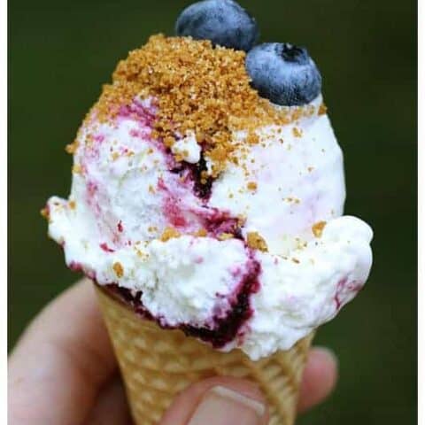 This blueberry ice cream is smooth, creamy, and topped with a graham cracker sprinkle.