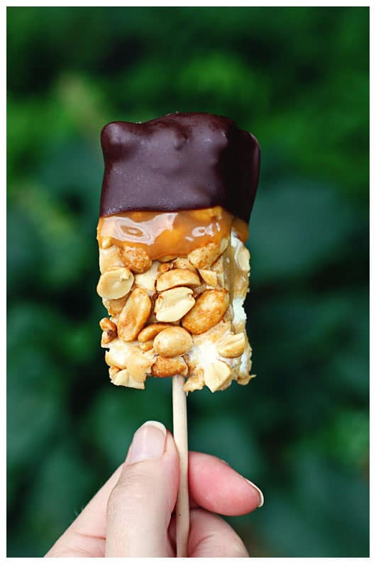 A Chocolate Dipped Salted Nut Roll Bar on a stick