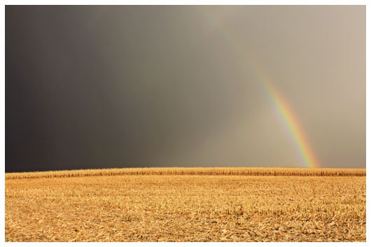 A Rainbow in a Cloudy Gray Sky