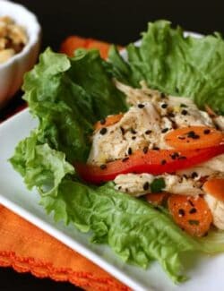 A Plate of Asian Chicken Salad on a Bed of Lettuce with Sliced Tomatoes and Carrots