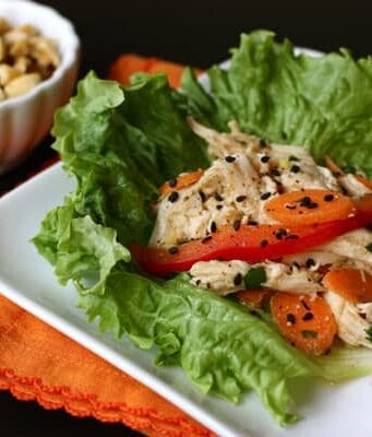 A Plate of Asian Chicken Salad on a Bed of Lettuce with Sliced Tomatoes and Carrots