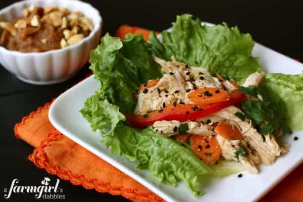 A Plate of Asian Chicken Salad on a Bed of Lettuce with Sliced Tomatoes and Carrots