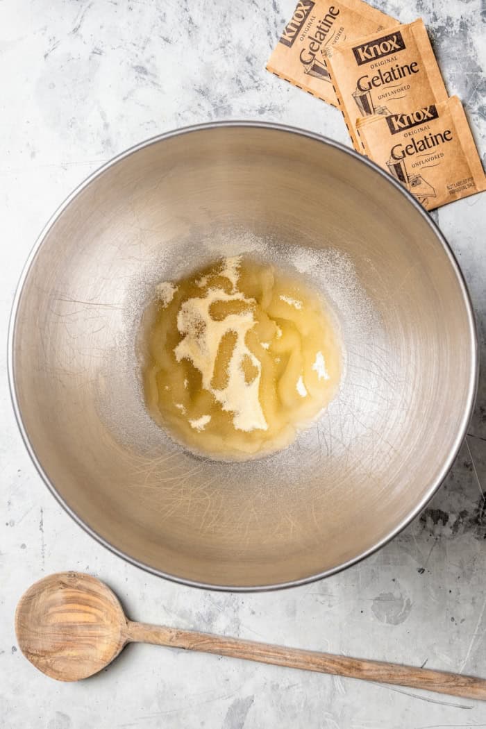 Gelatin and water in mixing bowl