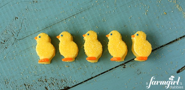 Five chocolate covered marshmallow chicks lined up on a table 