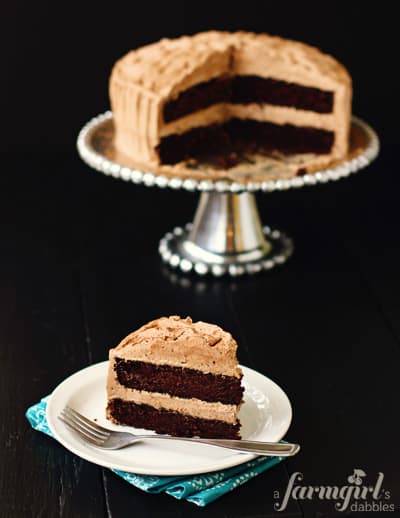 a slice of chocolate chile cake