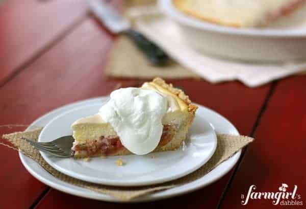 a slice of rhubarb cheesecake pie topped with whipped cream